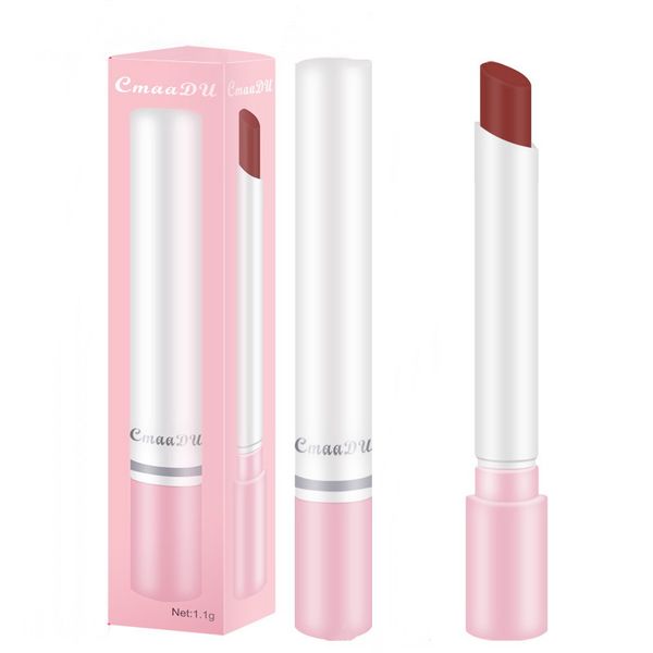 

smoke tube lipstick single velvet matte lipstick long lasting easy to wear makeup lipstick have 8 different colors