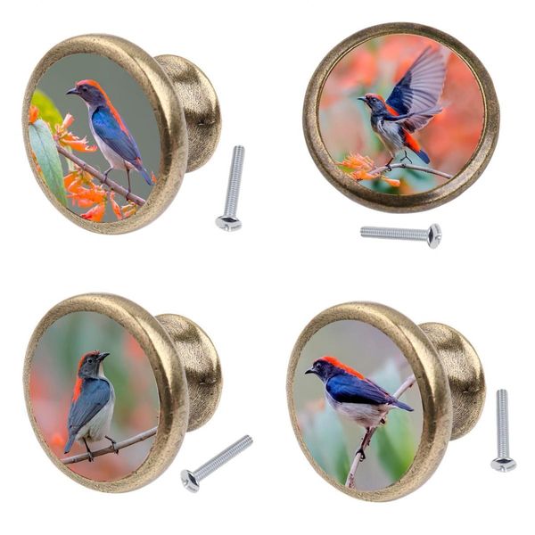 

4pcs Antique Style Pull Knob Closet Cupboard Handle Furniture Hardware