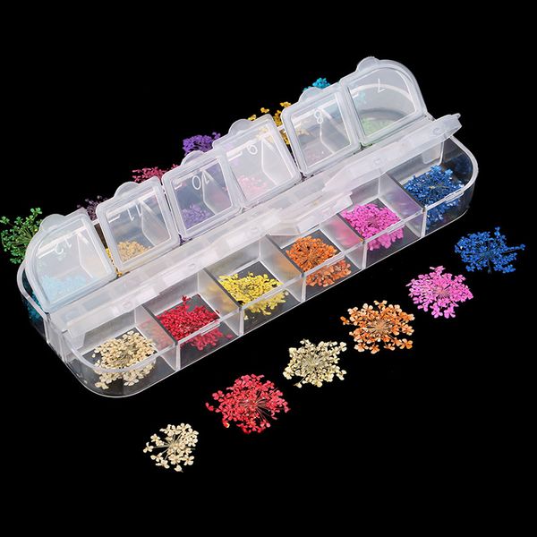 

mix colors dried flower flower for nail art decorations mixed natural nail flowers dry flower ornaments manicure accessories