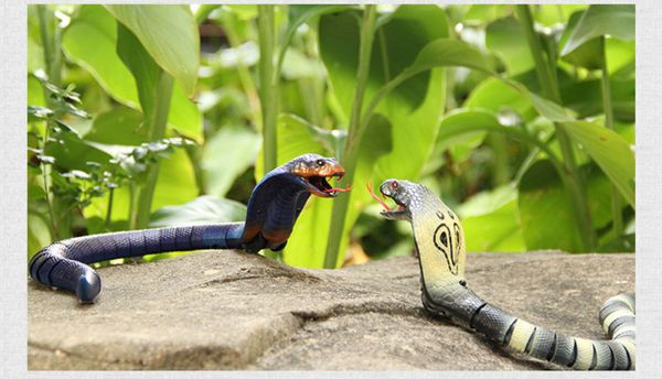 

novelty rc snake naja cobra viper remote control robot animal toy with usb cable funny terrifying christmas kids gift