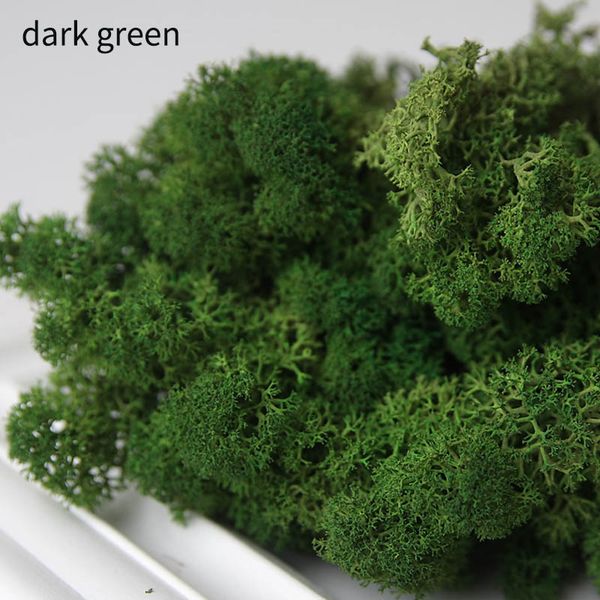 

искусственное растение вечной жизни мосс / сад украшения дома стены diy цветочный материал мини сад микро пейзаж аксессуары 10 г