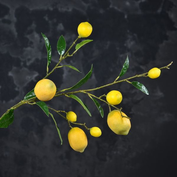 

92cm simulation branch fruit green decoration high imitation home l decoration prop lot of festive party supplies 90g