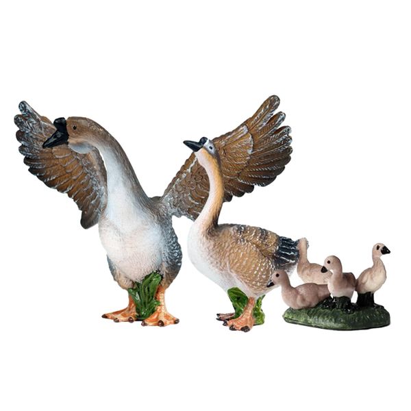

wilflife model poultry model figure educational toy for children kids