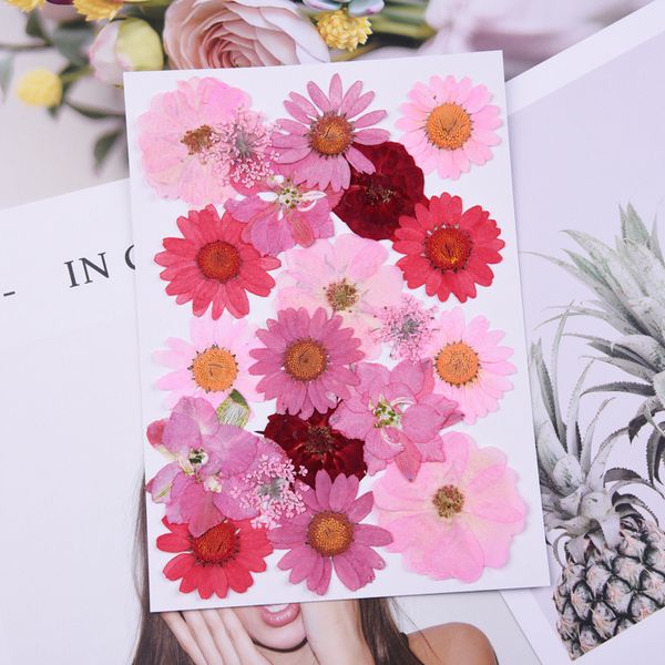 

decorative flowers & wreaths variety nature pressed flower packege,eternal rose for diy bookmark gift card wedding invitations,nail art faci