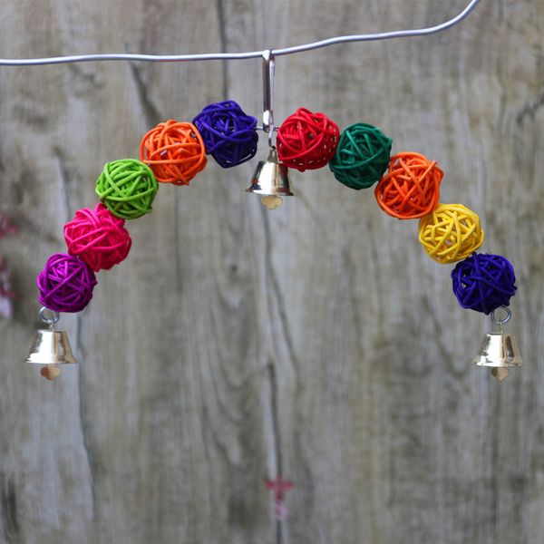 

parrot gnaw bird sepaktakraw toys