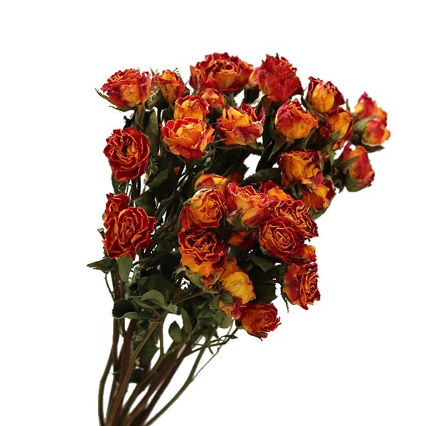 

15pcs dried flowers rose romantic bubble small rose flower dry bouquet home furnishing decorate