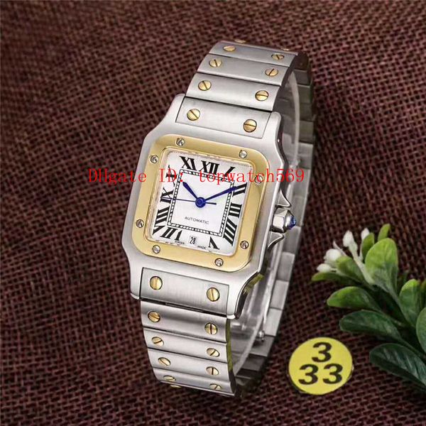 

new classic stainless steel woman watch ladies watch swiss 2671 automatic mechanical date sapphire crystal super water resistant, Slivery;brown
