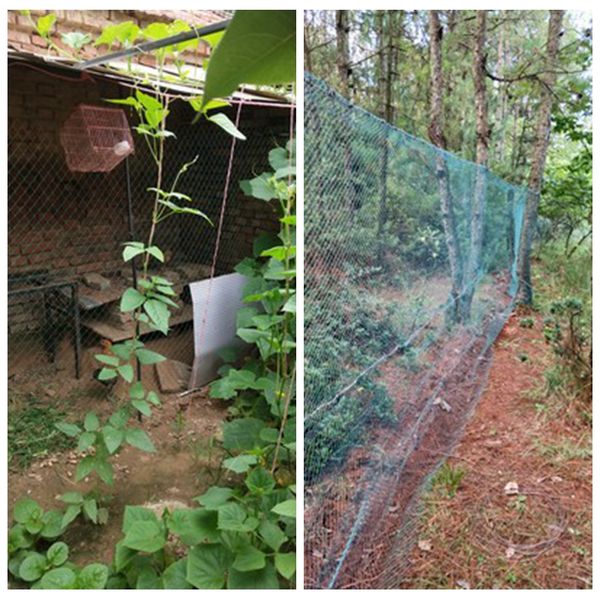 

length 5m (6-36 strands) garden plant climbing net poultry breeding anti-bird guardrail fence fishing yam vine bracket climb net