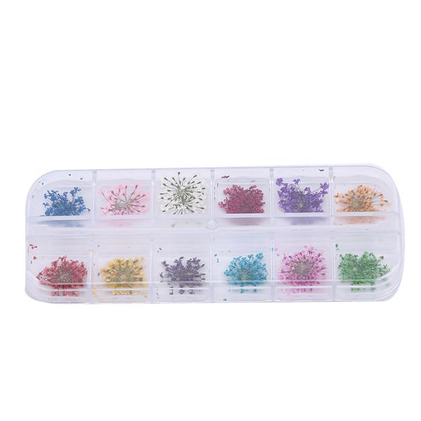 

1 pcs 12 colors dried flower flower for nail art decorations nail dried ornaments