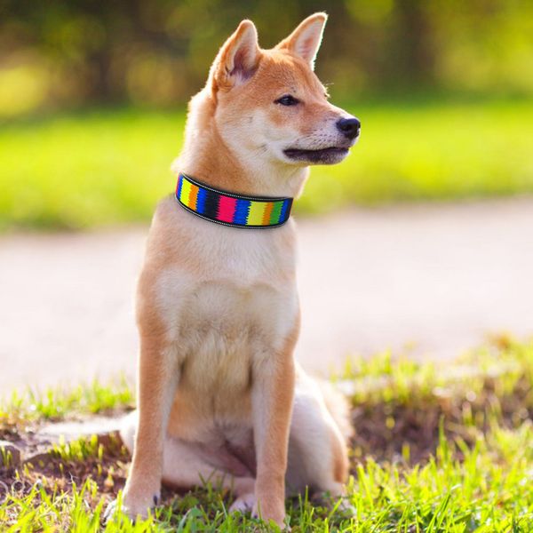 

neoprene material pet dog collar highlight reflective waterproof dog chain necklace pet supplies d20