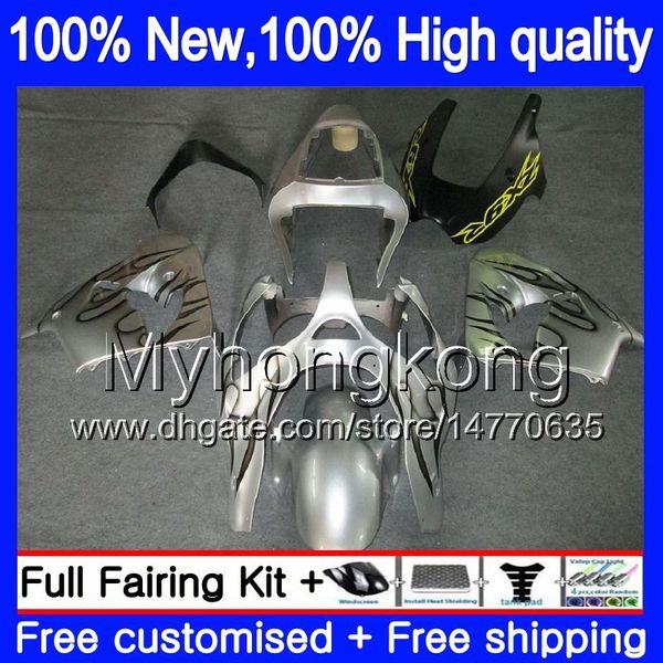 Kawasaki ZX-9R ZX9R Ninja 2002-2003 02-03 ABS custom fairing 10 B C7