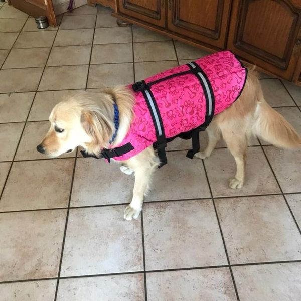 

pet dog life jacket safety clothes life vest collar harness saver pet dog swimming preserver clothes summer swimwear
