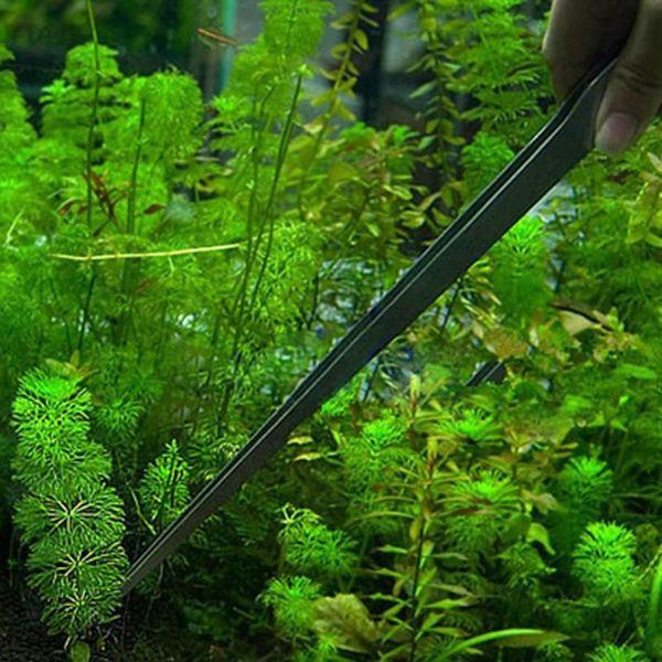 

universal 27cm aquarium plant shrimp reef tank straight tweezer stainless