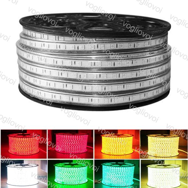 

led strips 110v 220v 100m smd 5050 led rope light ip67 flex led strip lights outdoor lighting string bar pub christmas party dhl