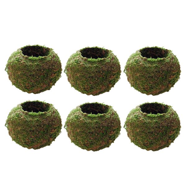 

6-pack green moss balls planters pots for wedding venue tablegarden decoration, 9cm