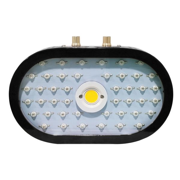 

led grow light 1100w dimmable plants lamp 380-800nm for indoor plants and flower greenhouse hydroponic