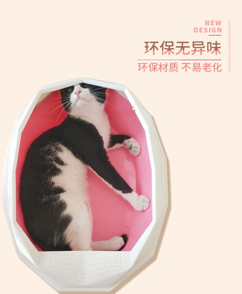 

cat sandbox semi-closed toilet