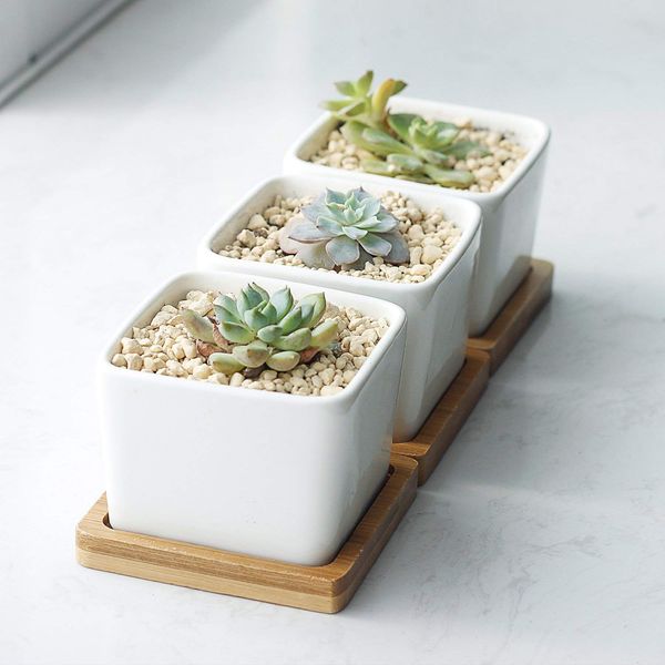 

Pack of 3 Succulent Planters, Planter Pots, 3.5" White Ceramic Square Planters, Green Plant Pots, Cactus Planters with Bamboo Tray, Vases