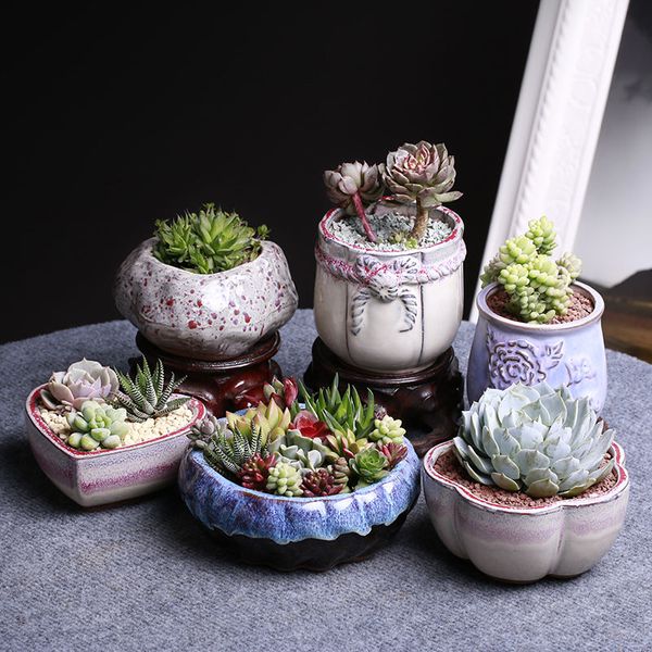 

succulents combination ceramic flower pot white porcelain celadon flower pot creative hand-painted round lovely meat small flower pot