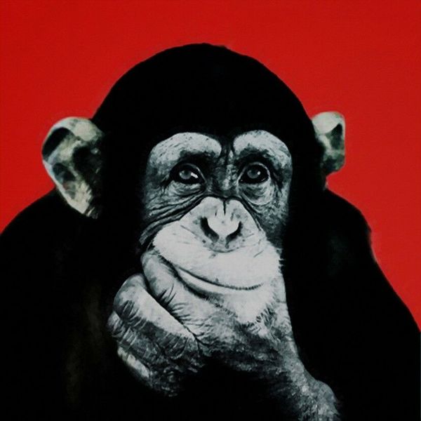 

andy warhol oil painting on canvas pop art wall decor thinking monkey wall art home decor handcrafts /hd print 191021