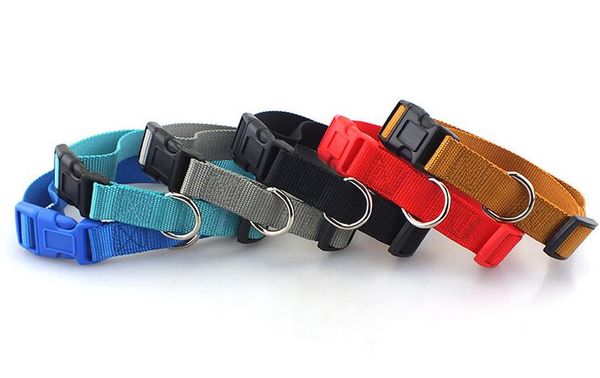 Collare per cani con fettuccia in nylon Collare per animali domestici con fibbia a clip resistente per cani di piccola taglia e media cane Chihuahua GA646