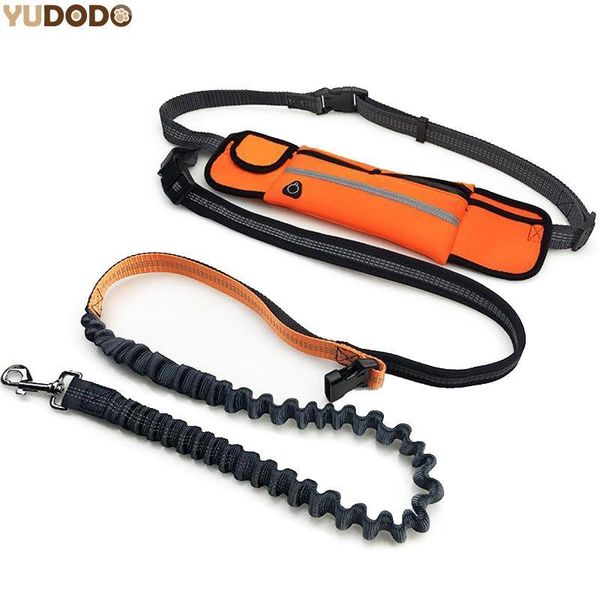 

hand elastic dog leash adjustable padded waist reflective running jogging walking pet lead belt with pouch bags