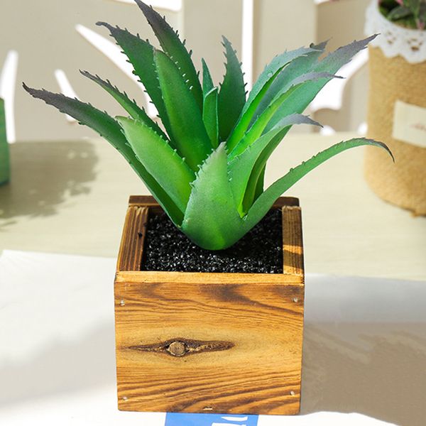 

искусственный герметичный сочной бонсай завод дом комната garden party decoration подарки