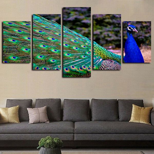 

5 panels peacock bird colorful modern artworks canvas wall art for home decor abstract poster hd canvas print oil painting