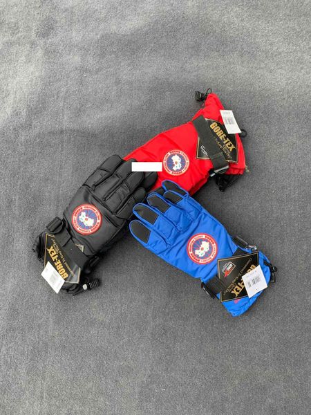 

european popular explosion winter men gloves 3d stereo cutting comfortable warm motorcycle bike climbing outdoor sports special glove, Blue;gray