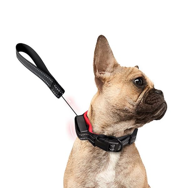 

2-in-1 dog collar and lead leash traction rope adopting a reflective warning line retractable dog collar traction