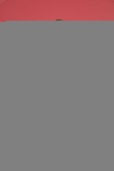 

running sportswear fitness leggings seamless control gym compression tights maternity yoga pant pants pure colors women yoga maternity yoga, White;red