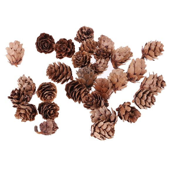 pequeñas pinas