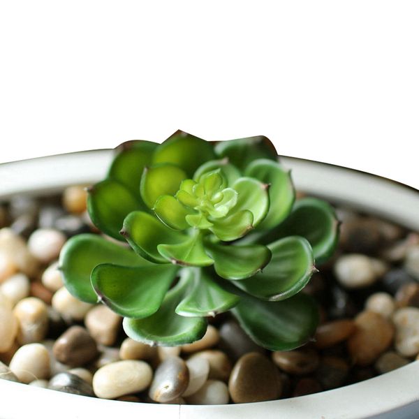

artificial succulent plants landscape potted plant simulation succulent plants house for home indoor decor (green) green