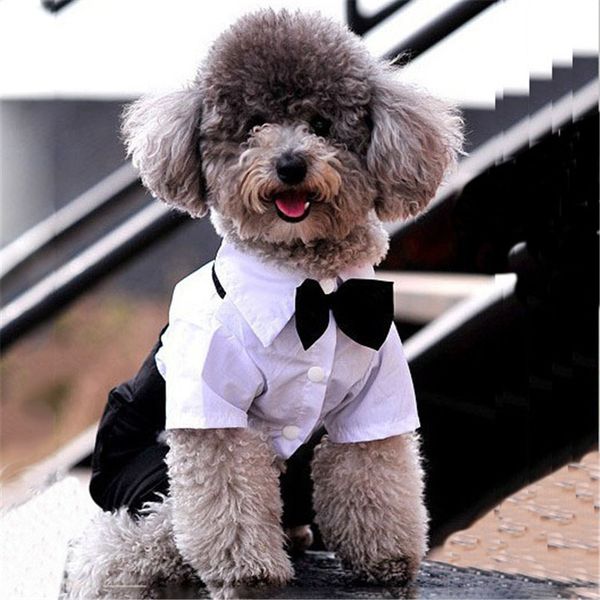

New Western Style Men's Suit & Bow Tie Small Pet Dog Clothes Puppy Apparel Jumpsuit Wedding Decoration, Black