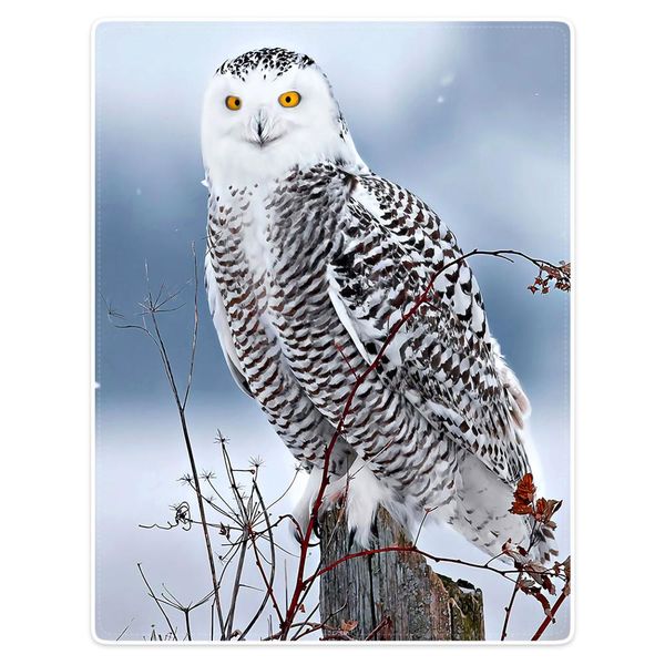 

blanket comfort warmth soft plush throw white owl orange eyes twigs white