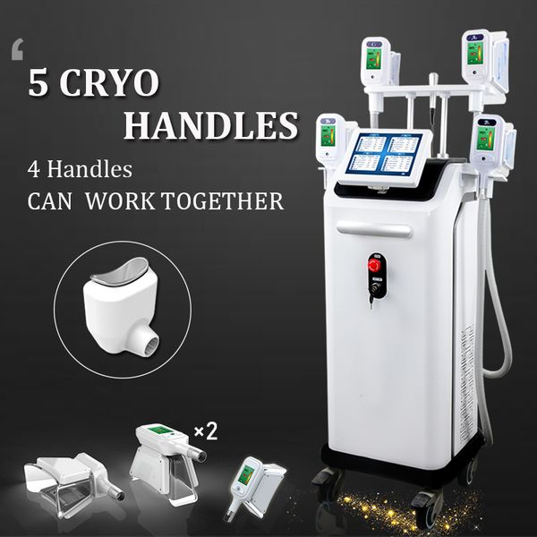 

whole body cryotherapy vacuum fat e for body shaping fat cell reduction therapy cryolipolysis e slimming machine