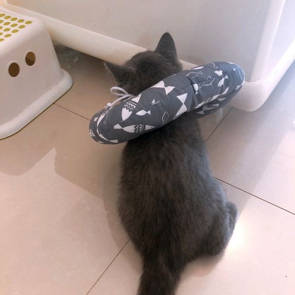 

pet dog cat cotton elizabeth circle protective recovery inflatable collar for preventing licking wound puppy surgery collar