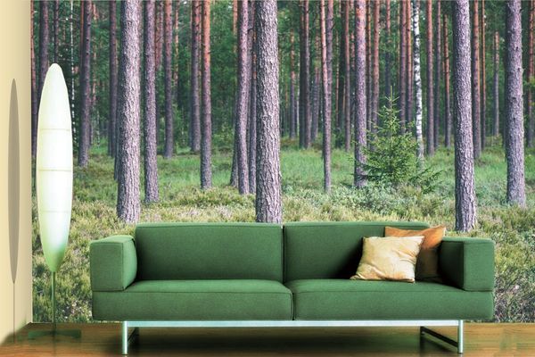 

self-adhesive] 3d trunk 2467468 wall paper mural wall print decal murals