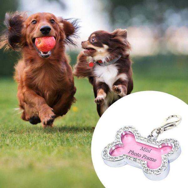 

mini cute pets id tag name address pendant diy rhinestone dog puppy anti-lost card pets collar supplies