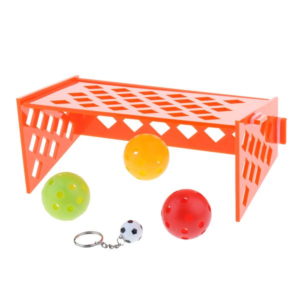 

ball bird parrot pet cockatiel puzzle training development football field toy