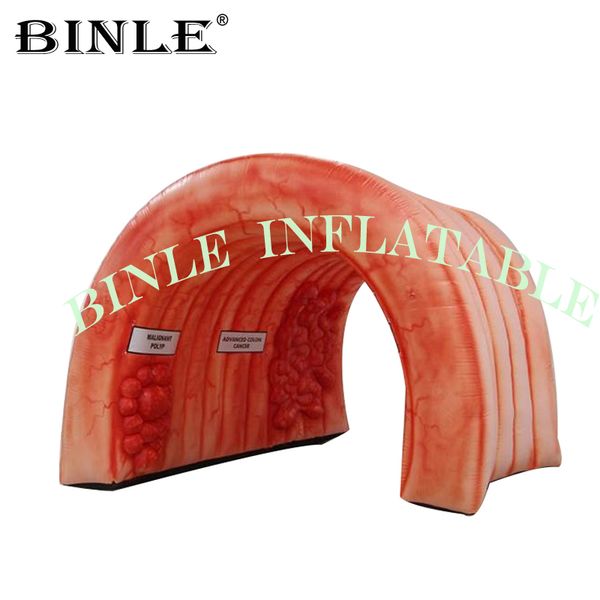 

пользовательские полный печать 6mx3m надувной двоеточие туннель палатка надувной кишки для медицинской выставки