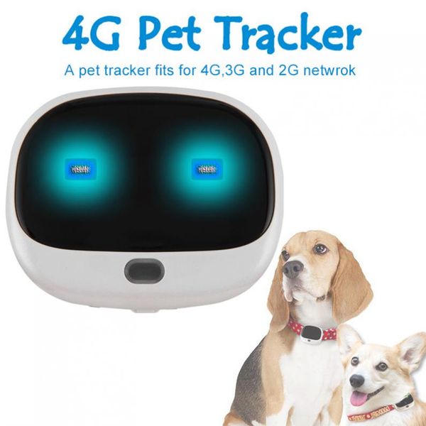 

rf-v43 4g lte+2g gsm +3g wcdma mini gps+wifi double fence waterpoof ip67 pet gps tracker real time tracking locator