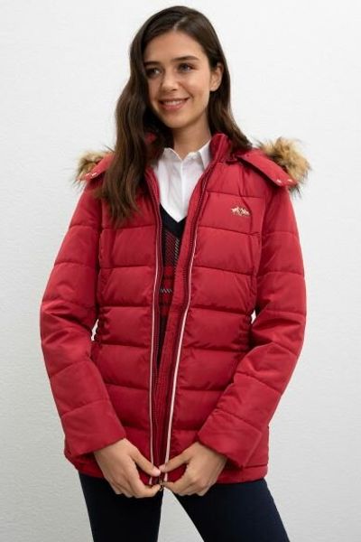 

u.s. assn. bordeaux standard coat, Black;brown