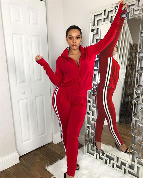 

collar solid color zipper female clothing sports style winter casual apparel womens autumn desinger 2pcs tracksuits stand, Gray