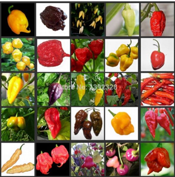 

100pcs fresh pepper s (chilli ) - organic vegetable 24kinds