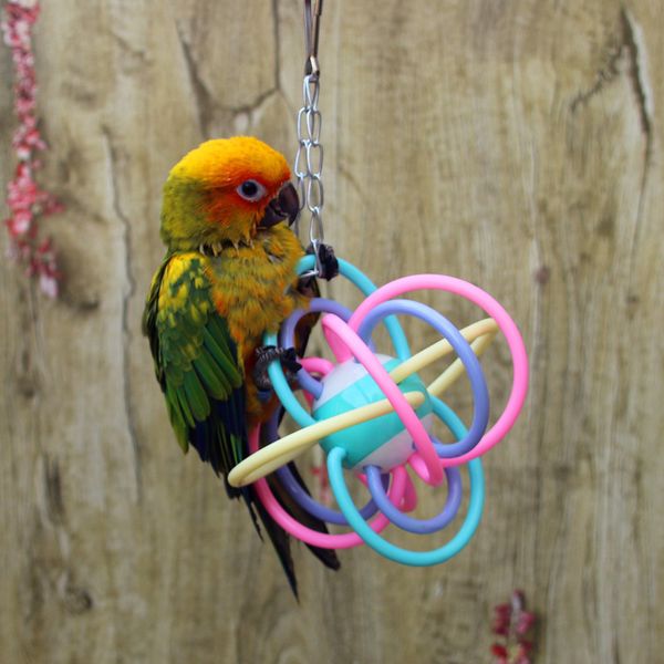 

parrot hand catch grinding mouth rubber ball food level silica gel the ball to climb chew toys pets articles