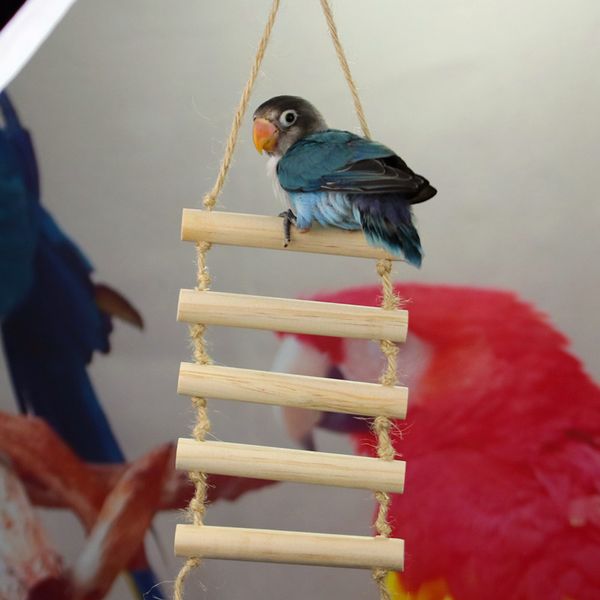 

cage jack ladder / rope ladder / scaling ladder / the bird's nest parrot toys stand bar