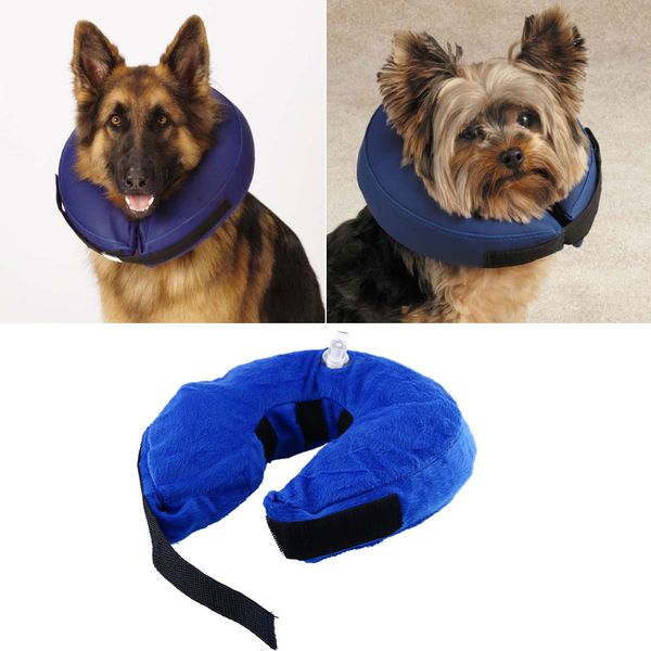 

blue dog inflatable collar inflatable collar e-collar dog pet cone protection medical