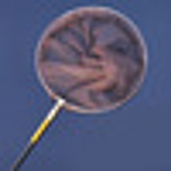 

aluminum alloy ring fishing net folding fishnet dip cage durable fish line colour portable