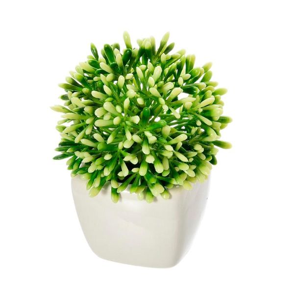 

dandelion succulents mini bonsai artificial flowers with ceramic flowerpot for garden decoration farmhouse decor succulents